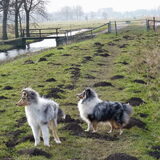 Foto van Lizzie en Sterre