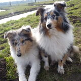 Foto van Lizzie en Sterre