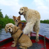 wij willen alledrie als boegbeeld, dat kan toch wel he??!!