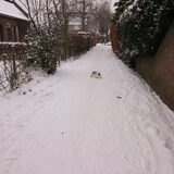 Sneeuw!