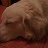 Meneer is moe!