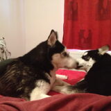 Broertjes (skippa links en Boris rechts)