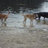 Wandeltocht 3-3-13