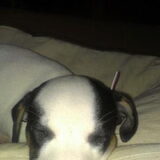 1e nacht younah