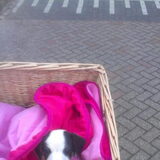 1e keer mee op de fiets