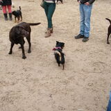 Foto van Dreamteam