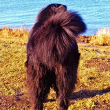 Foto van tessa