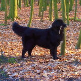 Foto van tessa