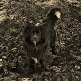 Foto van tessa