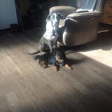 Turbo en Libby samen op de foto.