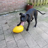 Danger met zijn nieuwe Jolly Egg