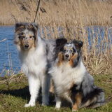 Foto van Lizzie en Sterre