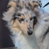 Foto van Lizzie en Sterre