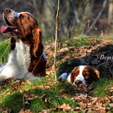 Foto van Demi - Rosie
