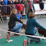 Broer en zus in de ring