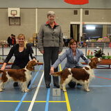 Clubmatch waalwijk. Rosie en Diesel Beste teef en reu. Diesel beste van…