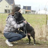 Knuffelen met asielhondje Gina