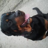 chillen na een lange wandeling
