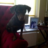 Prinsesje