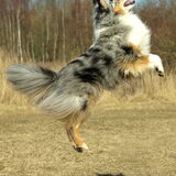 Tika 5 jaar!