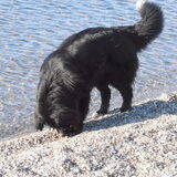 Foto van tessa