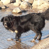 Foto van tessa