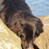 Foto van tessa