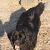 Foto van tessa
