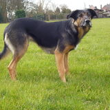 GOOI DIE BAL!!