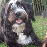 Dit is mijn lieve Sophie