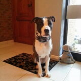 Strike a pose; Stewie op 10maanden