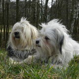 Foto van Melissa, Dempsey, Taiko, Minos & *Nina*