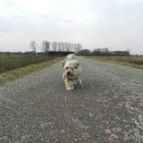 De wind waait wel hard hoor op de dijk :-)