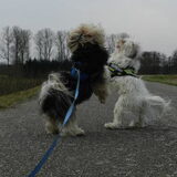 Foto van Melissa, Dempsey, Taiko, Minos & *Nina*