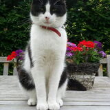 Lieve Semmie!