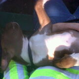 babyAce bij mij op schoot