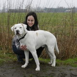 Samen met asielhondje Spot