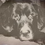 Foto van tessa