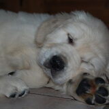 Schattig he??