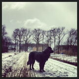 Foto van Anouk & Balou<3