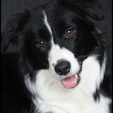 Foto van Lindsay