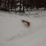 ploeteren door de sneeuw!