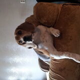Foto van Miss Diva