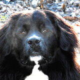 Foto van tessa