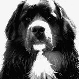 Foto van tessa
