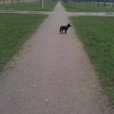 onze kleine man