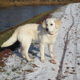 Foto van Luca