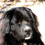 Foto van tessa