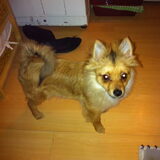 Foto van stefanie
