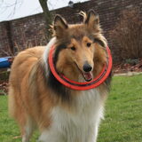 Met de frisbee om dr nek @ 47 weken